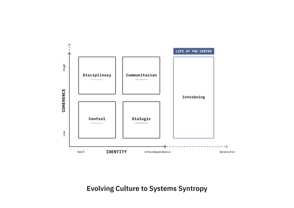 Evolving Culture to Systems Syntropy